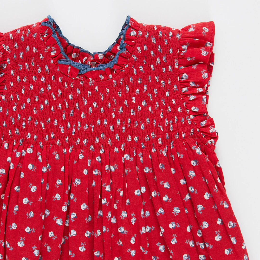 Girls Stevie Tiny Red Roses Dress