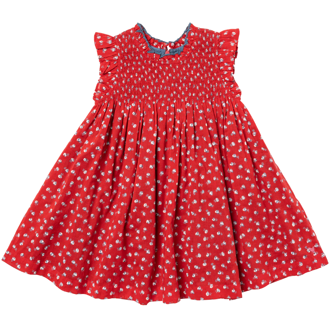 Girls Stevie Tiny Red Roses Dress