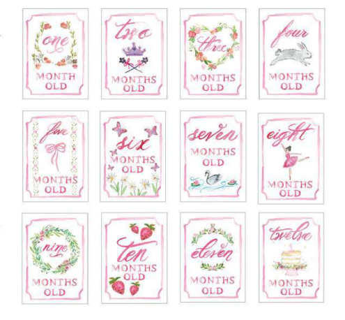 Monthly Milestone Card Set: Pink